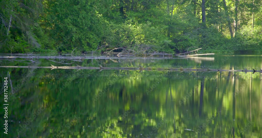 Lost Lake in the afternoon static shot Lost Lake in the afternoon static shot