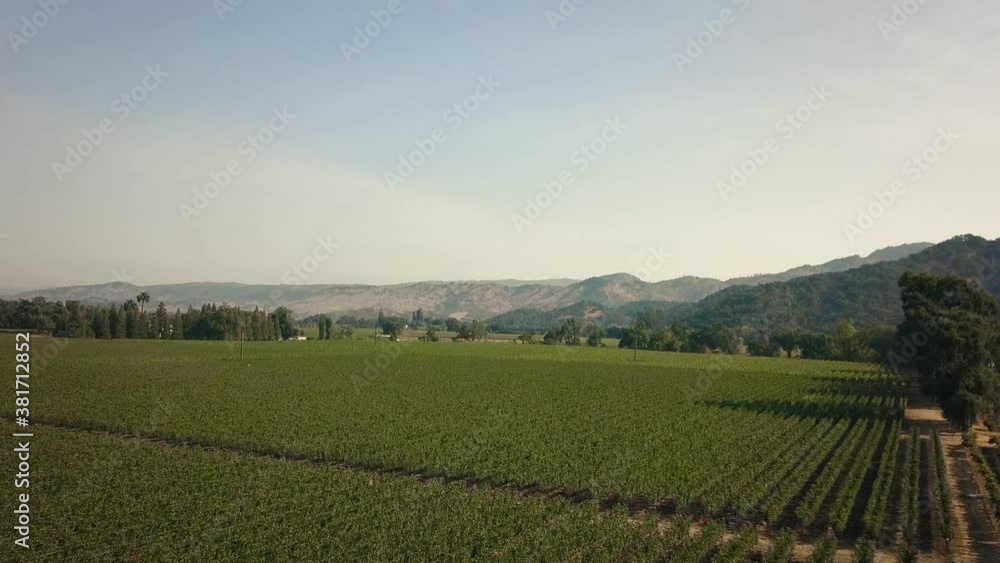 Aerial view of Napa County vineyards in Northern California. Aerial view of Napa County vineyards in Northern California.