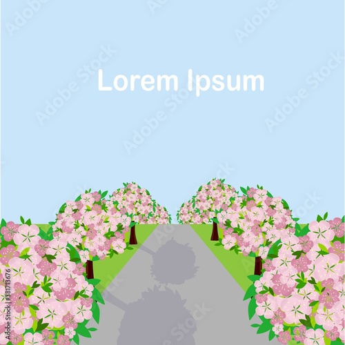 Sakura bluming tree near road landscape blue sky Lorem Ipsum flat design art design stock vector illustration for web, for print photo