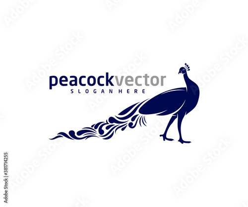 Peacock logo design vector template, Peacock bird illustration