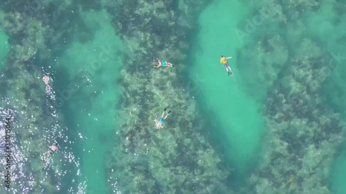 Florida Keys snorkeling with fish. photo