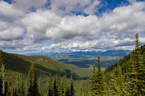 Forest and cloudscape over Glacier National Park, Montana