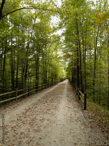 Wooded trail in the American Tobacco trail, north carolina in early fall