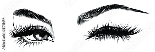Sexy winking luxurious eye with perfectly shaped eyebrows and full lashes. Idea for business visit card, typography vector. Perfect salon look.