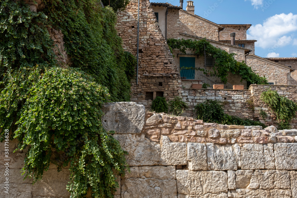 Old stone wall with ivy as background. Wall with cobblestone and overgrown by grass in italy