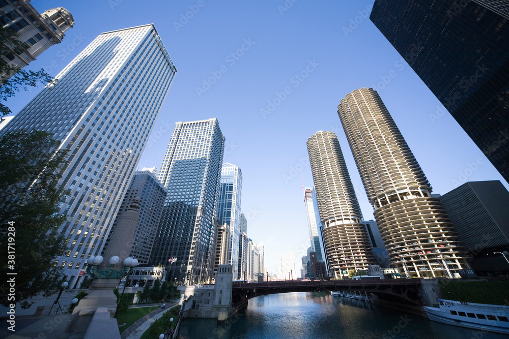 Obraz premium コーンコブ