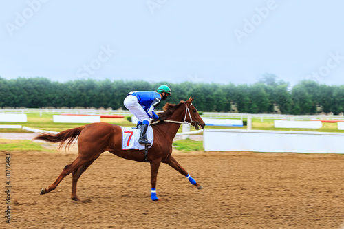 Billede på lærred a jockey rides a brown horse on a racetrack on a sandy starting track