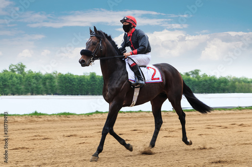 Obraz na plátně a jockey rides a brown horse on a racetrack on a sandy starting track