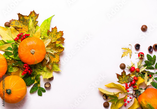 Autumn composition with pumpkins  yellow leaves  conkerberry