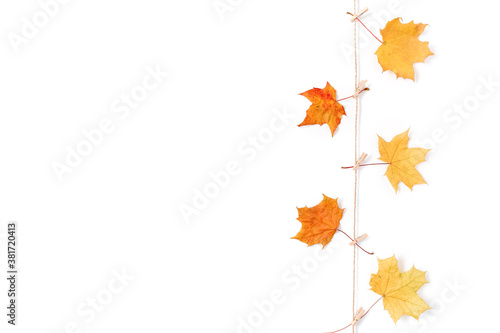 Autumn composition. Yellow and red dried maple leaves are on a white background. Fall  thanksgiving day concept. Flat lay  top view  copy space.