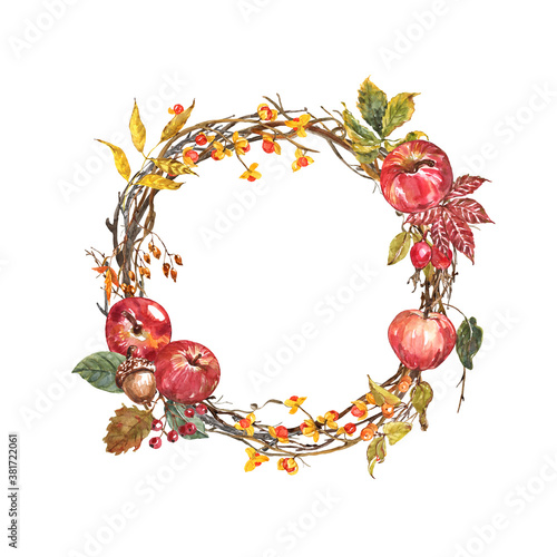 Fall harvest wreath illustration. Watercolor hand painted autumn decorative frame with bittersweet vine  tree leaves  branches  berries and apples. Rustic holiday decor. Thanksgiving day card.