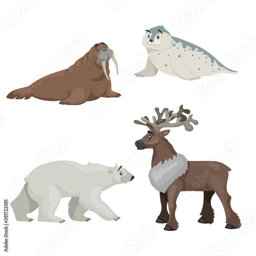 Polar animals set in cartoon style. Walrus  seal cub  polar bear and reindeer. Best for education. Vector illustrations isolated on white background.