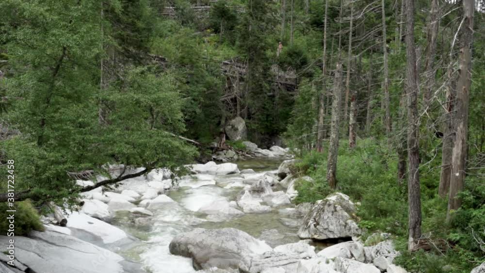 Mountain river is running downstream, flowing past lush mountain vegetation and awesome whitewater rapids. Mountain river is running downstream, flowing past lush mountain vegetation and awesome whitewater rapids.