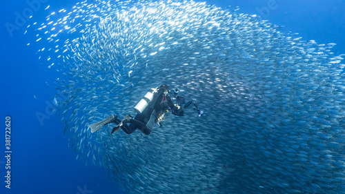 Bait ball / school of fish in turquoise water of coral reef in Caribbean Sea / Curacao with diver in foreground