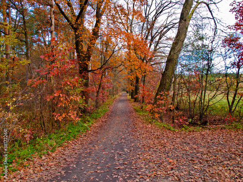 Autumn in the park