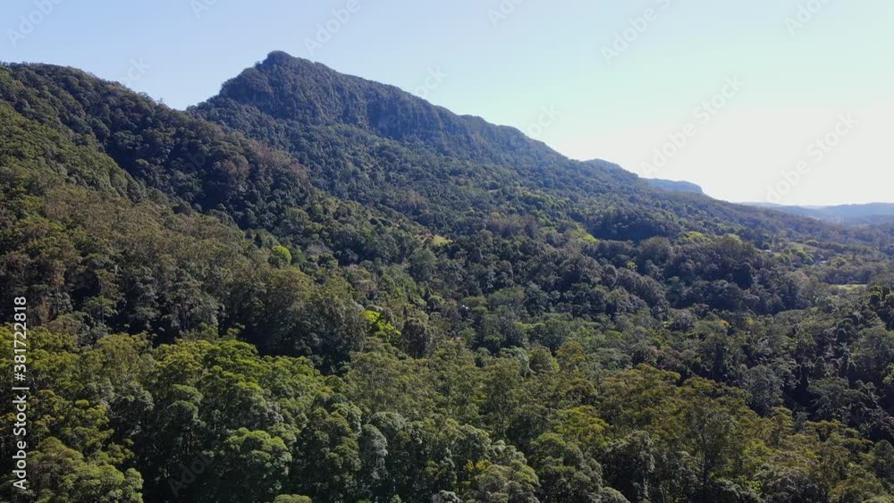 Majestic Mountains Full Of Lush Trees Against Sunlight - Dense Forest In Mount Cougal, A National Park In Currumbin Valley, Queensland - wide shot Majestic Mountains Full Of Lush Trees Against Sunlight - Dense Forest In Mount Cougal, A National Park In Currumbin Valley, Queensland - wide shot
