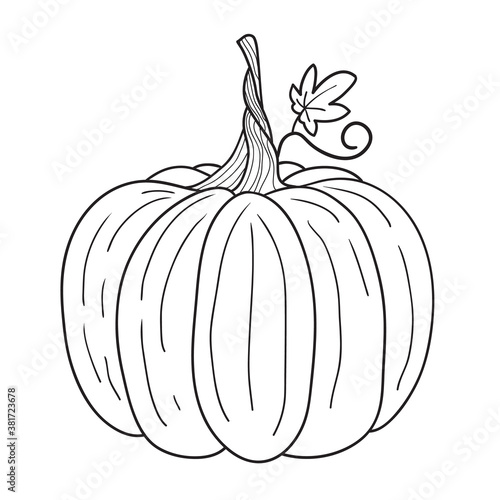 Pumpkin for coloring book. Line art design for kids coloring page.Isolated on white background.Vector illustration