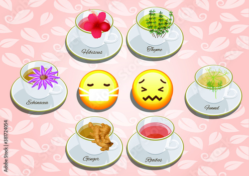 Vector Set of Tea for immune support and stomach comfort anti bloating