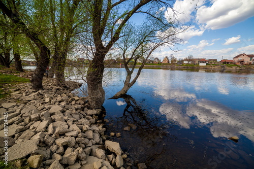 Bosut River in Morovic, Serbia photo