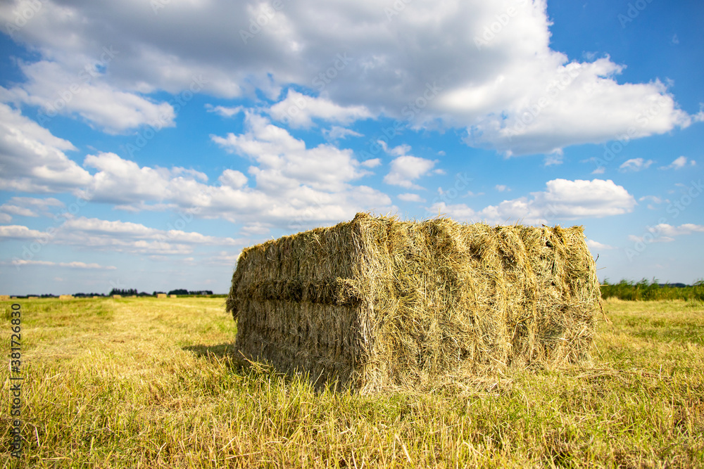 Perspective view of grass compacted in square silage bale in agricultural field and a sky with white clouds.