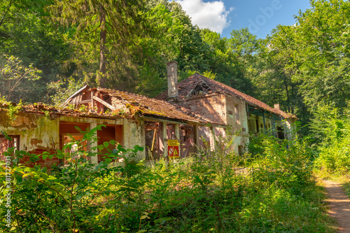 ruins of old house in the woods