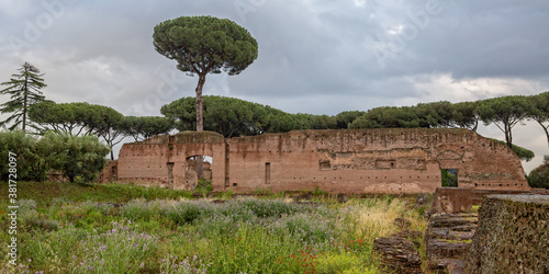 Photography Ancient Roman ruins on the Palatine hill in Rome