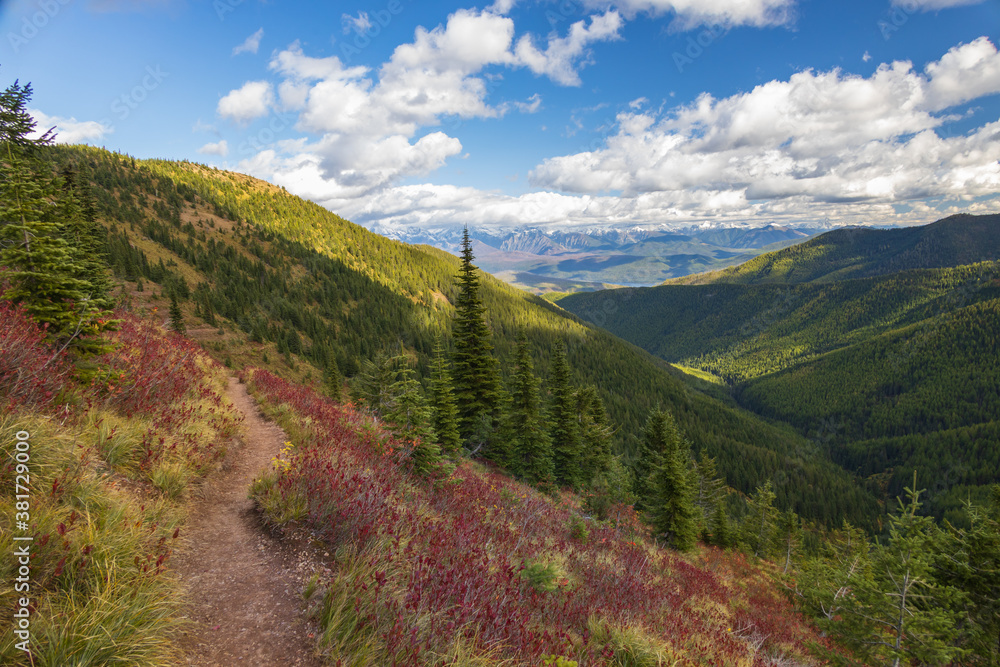 Huckleberry Trail at Glacier National Park, Montana Huckleberry Trail at Glacier National Park, Montana