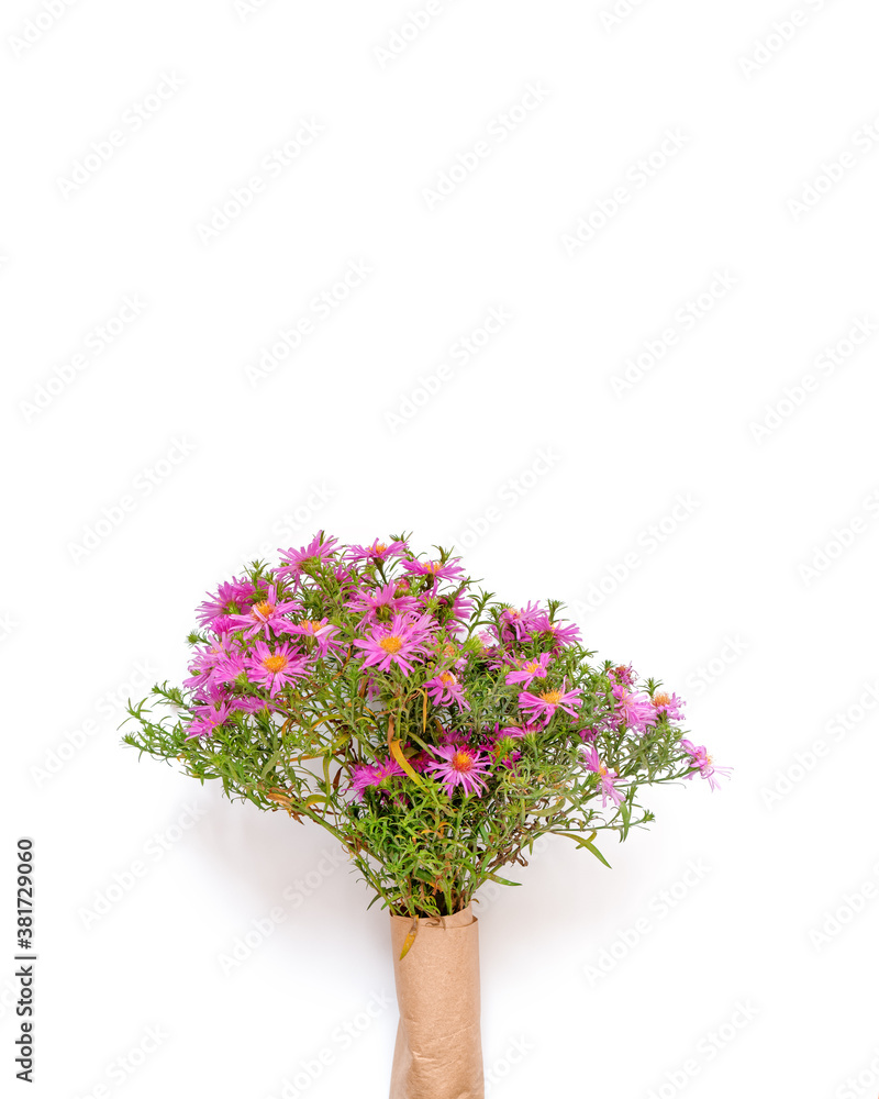 Autumn flower arrangement. A bouquet of flowers octobrines (Aster perennial) is on a white background. Flat lay. Top view. Copy space.