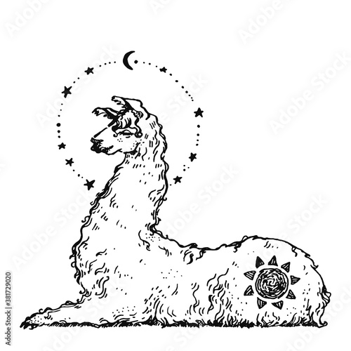 Hand drawn ink illustration with alpaca or llama. Vector ink drawing. Funny animal isolated from background. Can be used as print. 