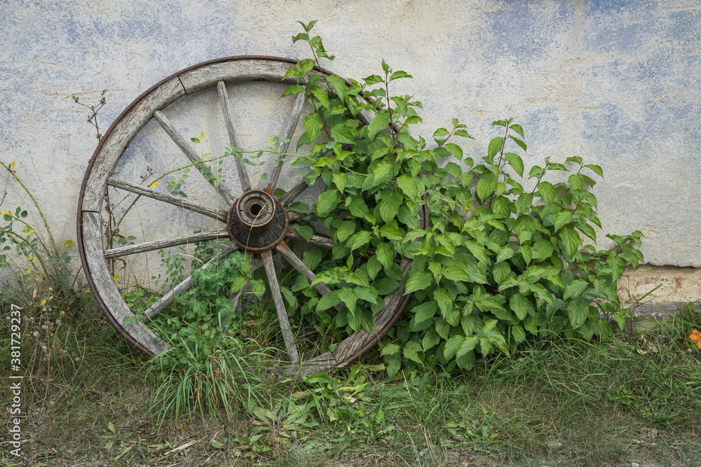 old cart wheel old cart wheel