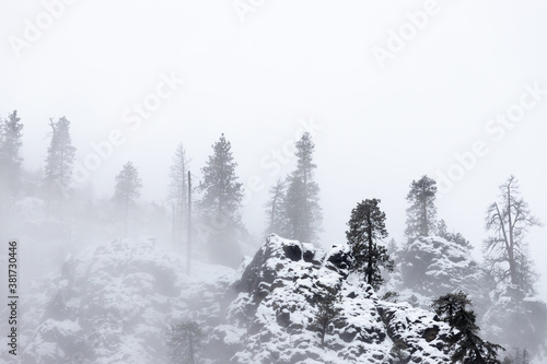 Snow-Covered Rocky Cliffs and Trees on Mountain in Winter with Fog