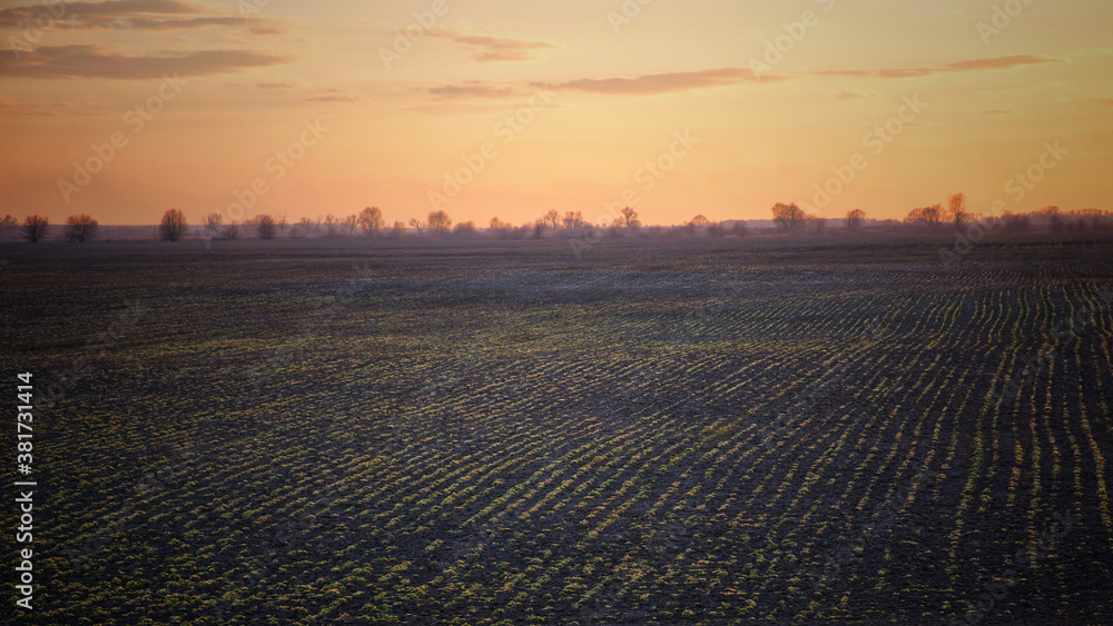 Sunset sky over the agricultural plain. Farmer fields in the evening. Plain landscape.