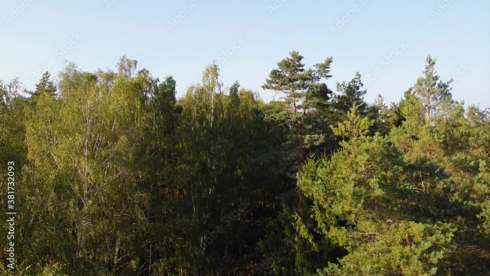 Smooth climb near the forest with trees overlooking the suburb on the horizon Smooth climb near the forest with trees overlooking the suburb on the horizon