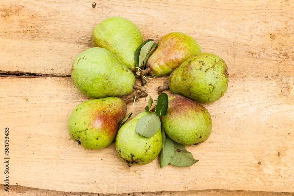 Group of pears on boards Group of pears on boards