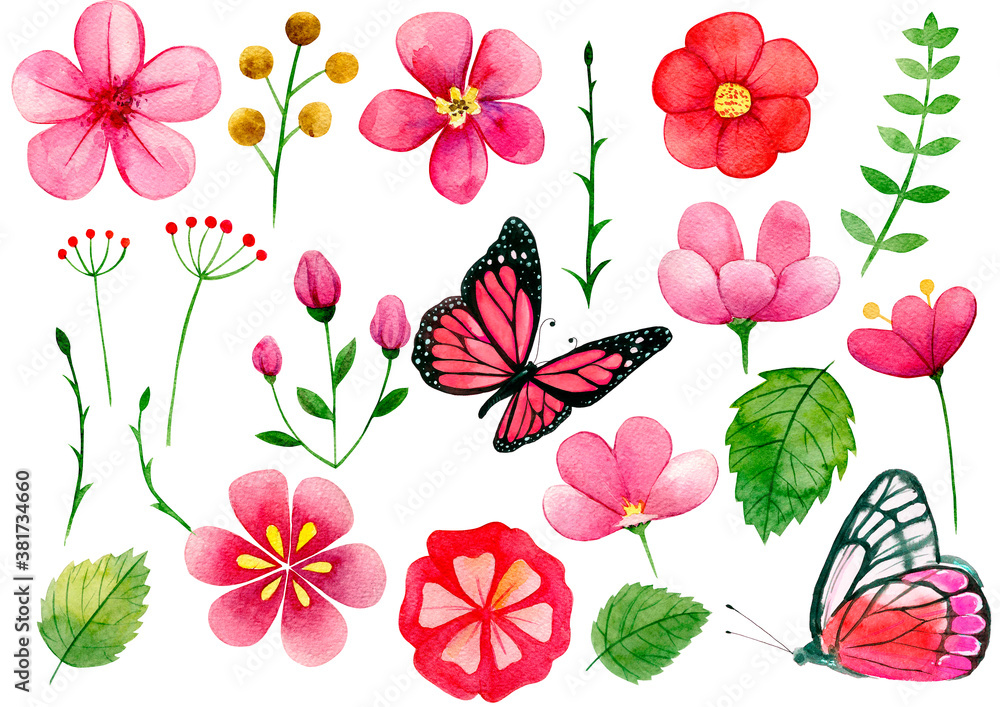 set of flowers, Pink watercolor flowers, pink butterflies, watercolor clipart on a white background,