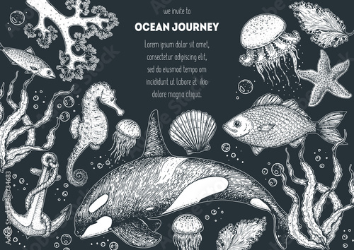 Sea animals hand drawn collection. Sketch illustration. Killer whale, sea horse, jellyfish, fish, seaweed, seashells illustration. Vintage design template. Undersea world.