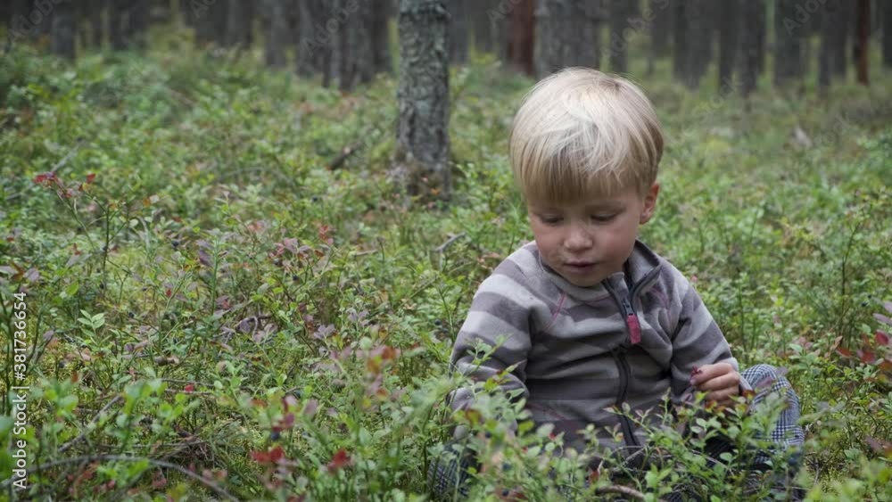 Cute little child boy collecting and eating wild blueberry from green bushes in the forest. Raw superfood for healthy food. Seasonal harvest of organic berry. Cute little child boy collecting and eating wild blueberry from green bushes in the forest. Raw superfood for healthy food. Seasonal harvest of organic berry.