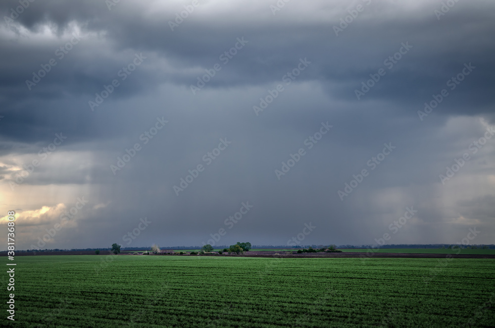 Green Grass Field Landscape with fantastic clouds in the background Green Grass Field Landscape with fantastic clouds in the background