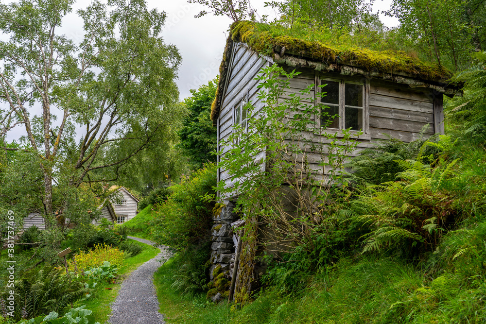 Traditionelle Holzhäuser mit grünem Bewuchs in der Nähe von Sandalsstrand / VASSENDEN in Südnorwegen Traditionelle Holzhäuser mit grünem Bewuchs in der Nähe von Sandalsstrand / VASSENDEN in Südnorwegen
