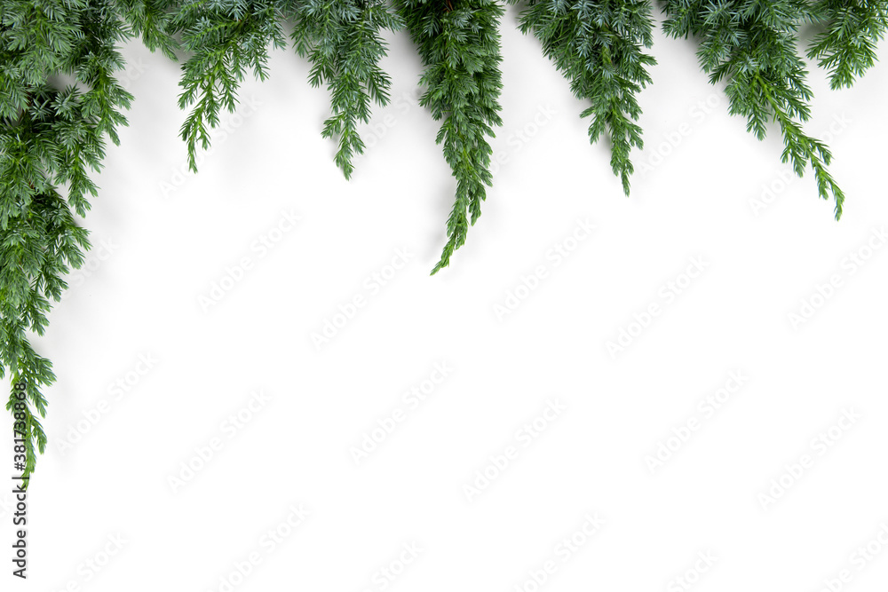 Christmas tree branches frame - Space for text Christmas tree branches frame - Space for text