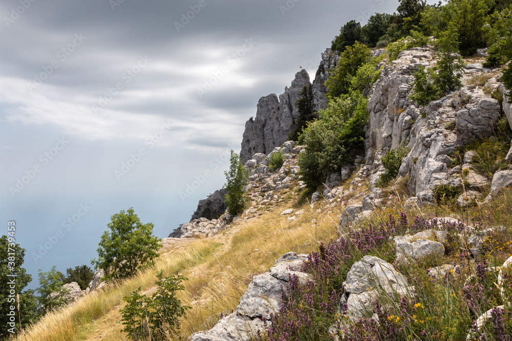 Ai-Petri is one of the most highest mountains of the Crimea. It is located on the southern coast of Crimea near Yalta city. The photo also shows the variety of summer blooms and a dramatic gray skies.