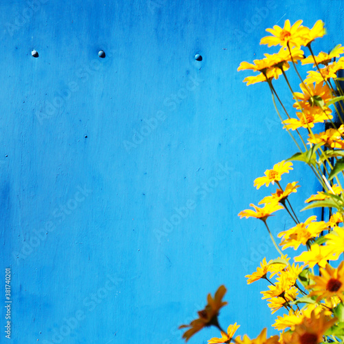 Beautiful flowers in the street. The concept of summer, holiday, good mood. Selective focus. Blank for postcards. Layout for advertising, place for inscriptions. photo