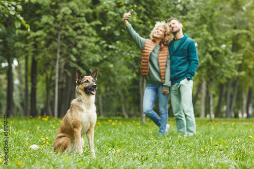 Shepherd dog sitting on the green grass with young couple making selfie in the background outdoors