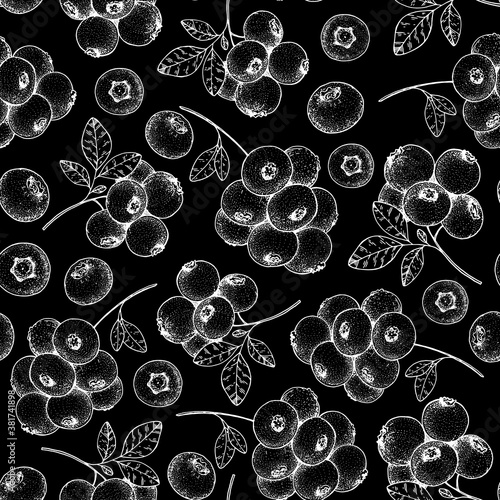 Seamless pattern with blueberry. Hand drawn sketch. Black and white style illustration. Vector illustration.