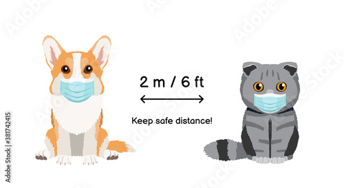 Keep the distance two meters or six feets.  Coronavirus infection spreading prevention information sign with animals wearing protective face masks. Pembroke welsh corgi and scottish fold cat