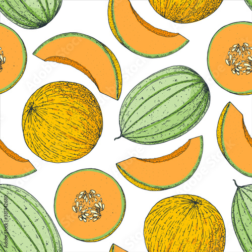 Seamless pattern with melon. Hand drawn background. Colorful illustration. Vector illustration. Melon slice.