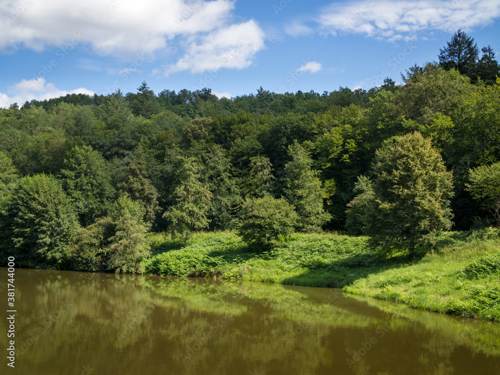 Nice lake with surrounding forest and plants Nice lake with surrounding forest and plants