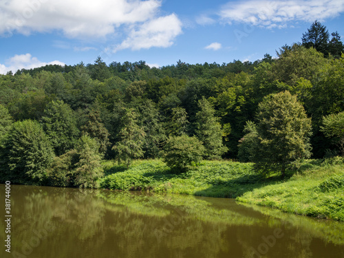 Nice lake with surrounding forest and plants