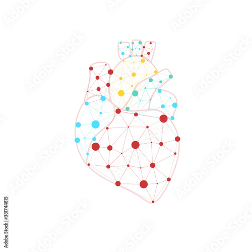 Healthy heart beats link connected model. Triangle connected dots point online doctor. Pulse internal body modern innovative technology render vector illustration. Anatomical cardiology concept.