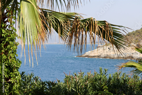 Sea vacation  view through palm leaves to mountain coast. Background for leisure and relax on a paradise beach
